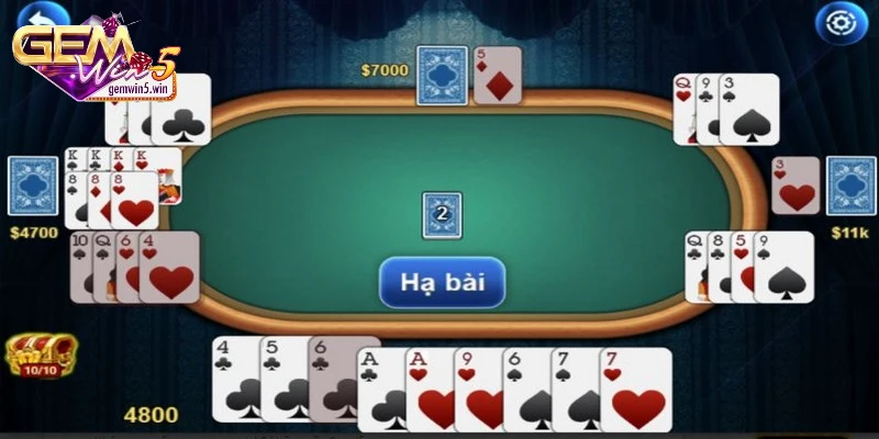 kinh-nghiem-choi-phom-cuc-hay-tu-chuyen-gia